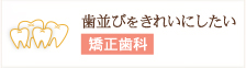 歯並びをきれいにしたい 矯正歯科